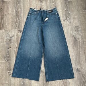 Express Blue Flare Wide Leg Jeans